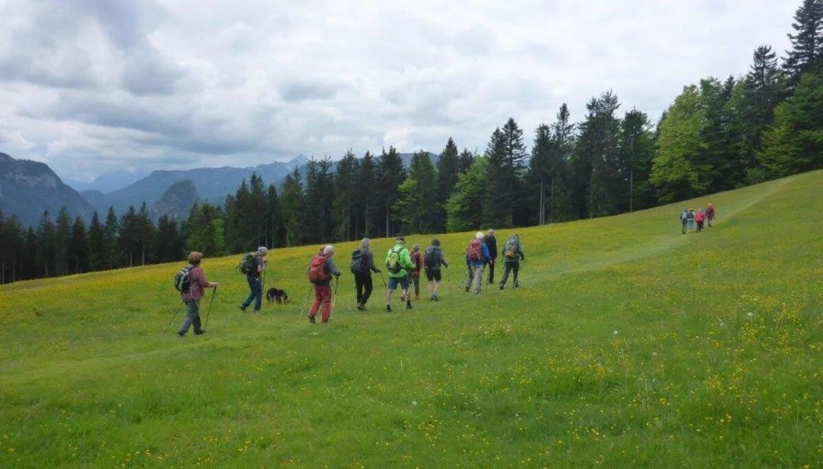 Bäckeralm | © DAV Laufen