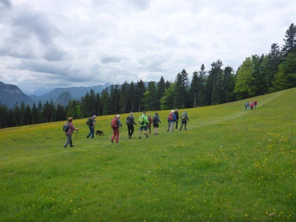 Bäckeralm | © DAV Laufen