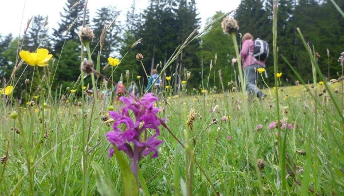 Bäckeralm | © DAV Laufen