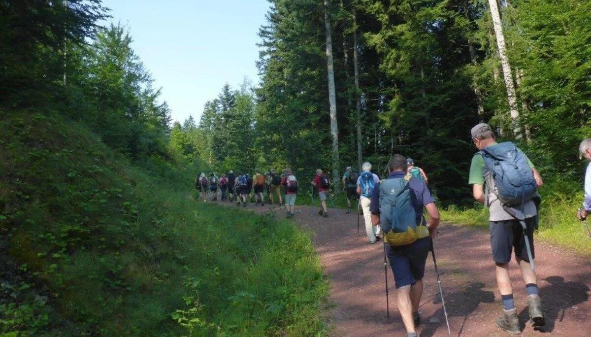 Buchensteinwand | © DAV Laufen