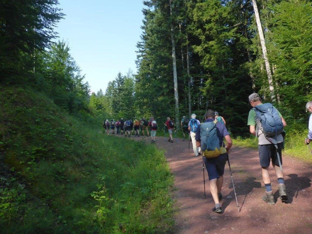 Buchensteinwand | © DAV Laufen
