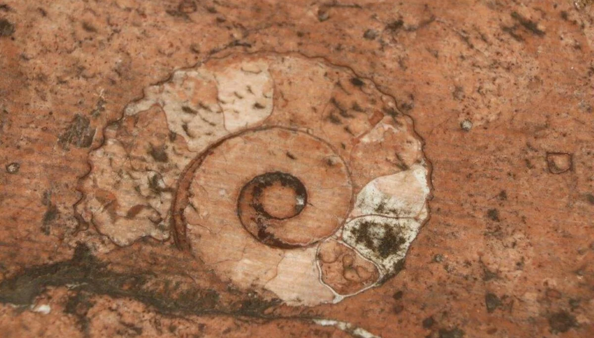 Marmorweg | © DAV Laufen