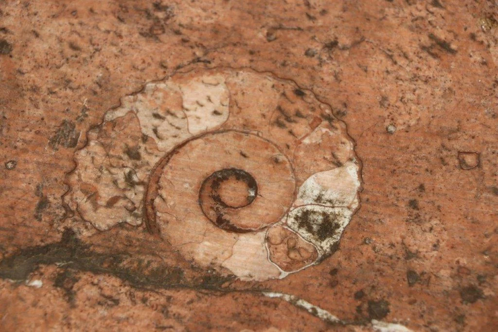 Marmorweg | © DAV Laufen