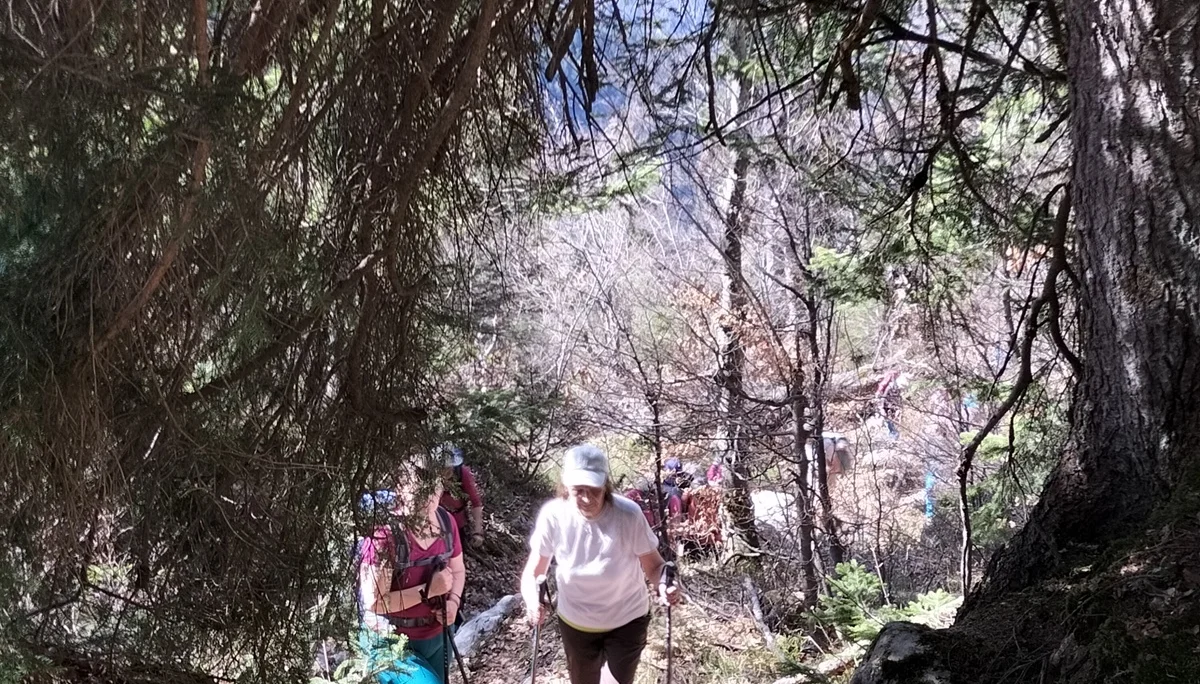 Trattberg | © DAV Laufen