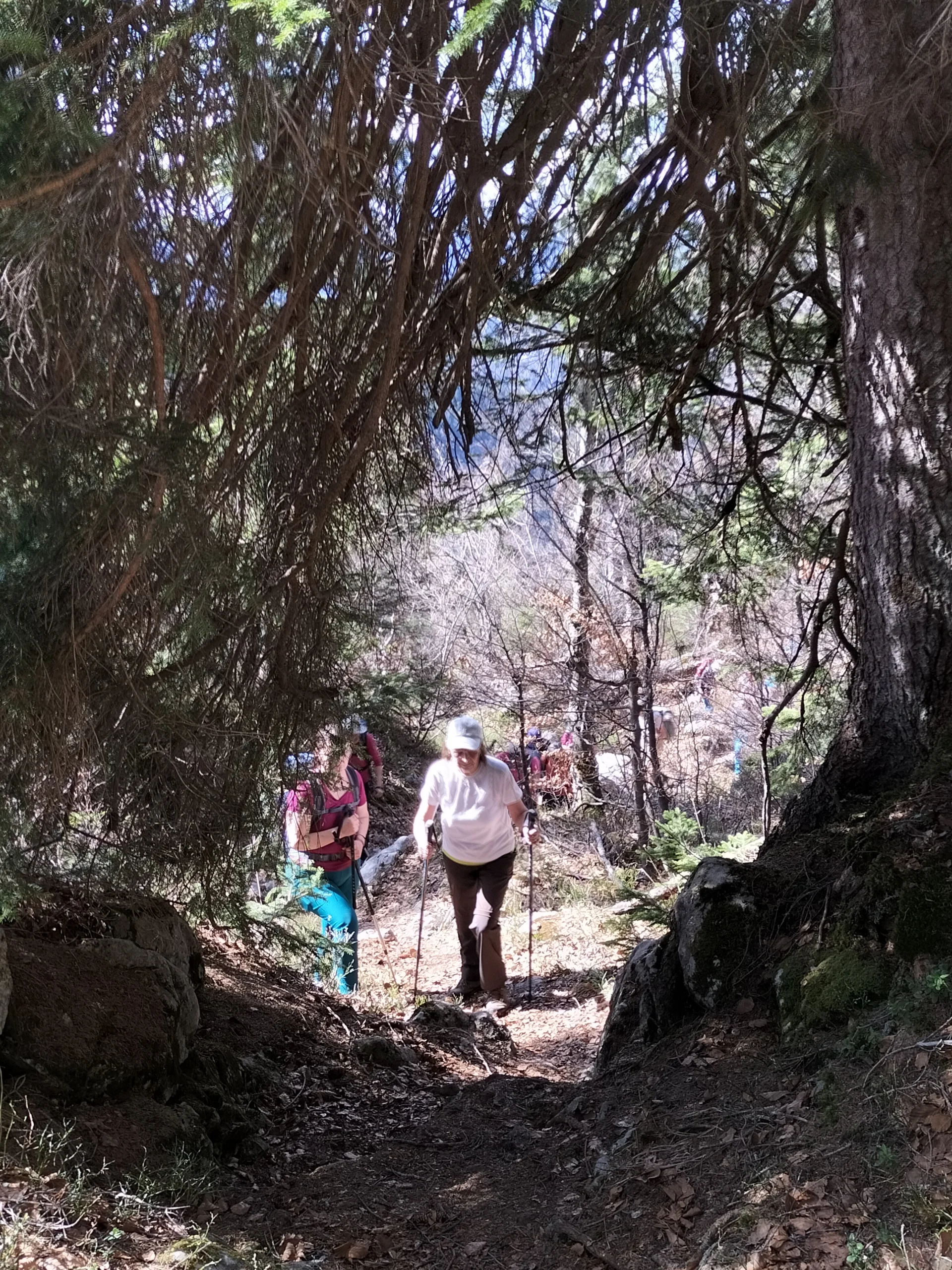 Trattberg | © DAV Laufen