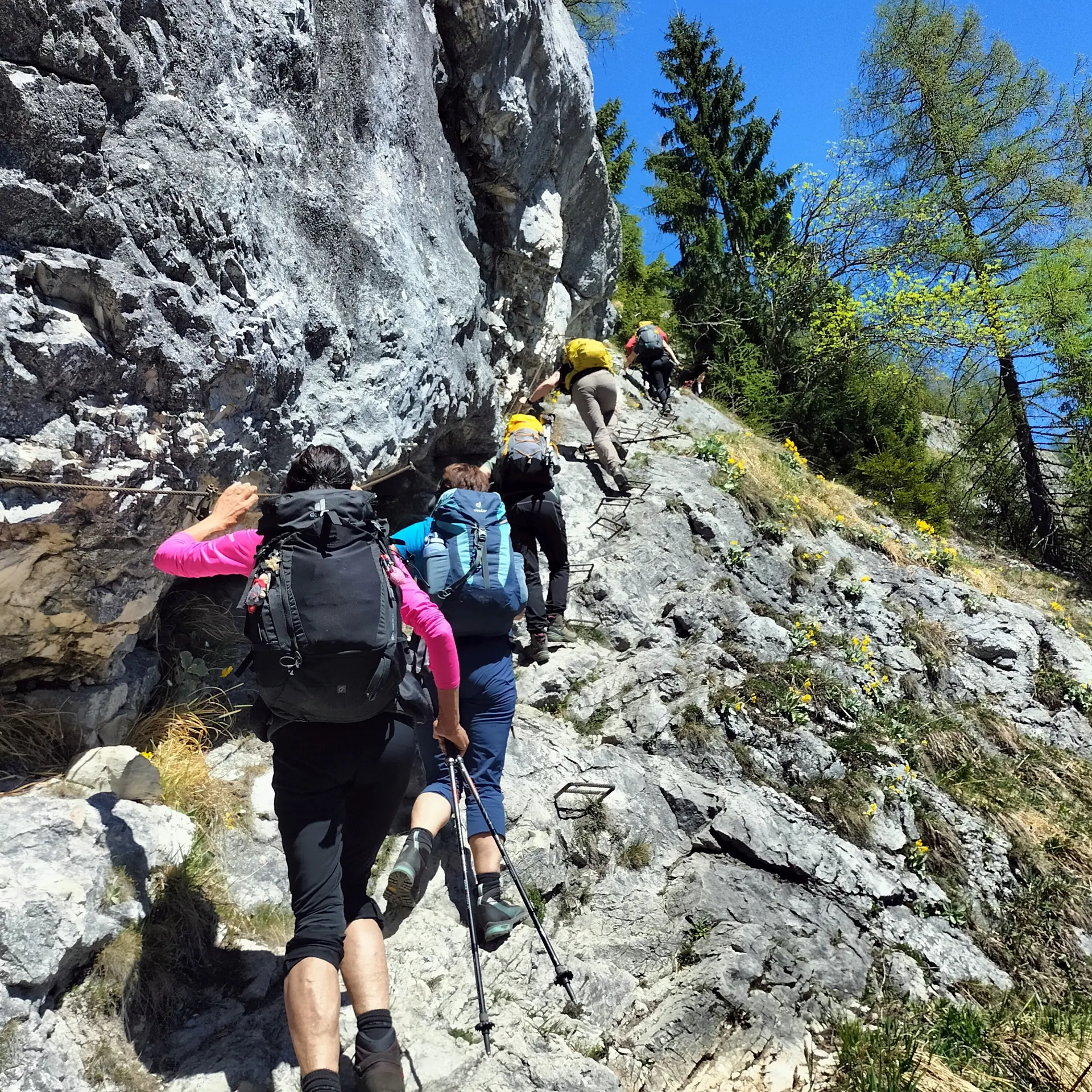 Rinnkendlsteig  | © DAV Laufen
