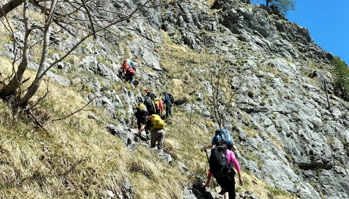 Rinnkendlsteig  | © DAV Laufen