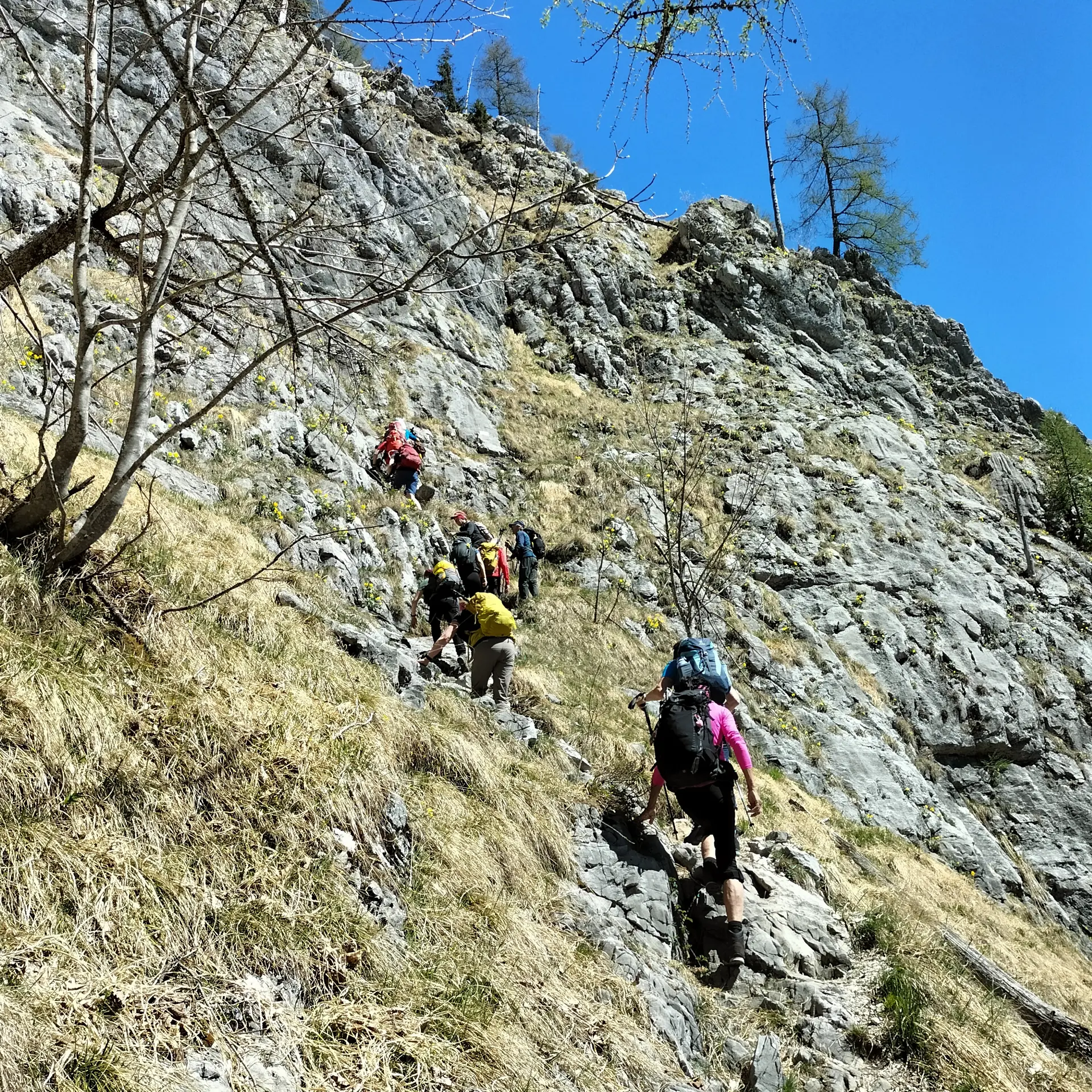 Rinnkendlsteig  | © DAV Laufen
