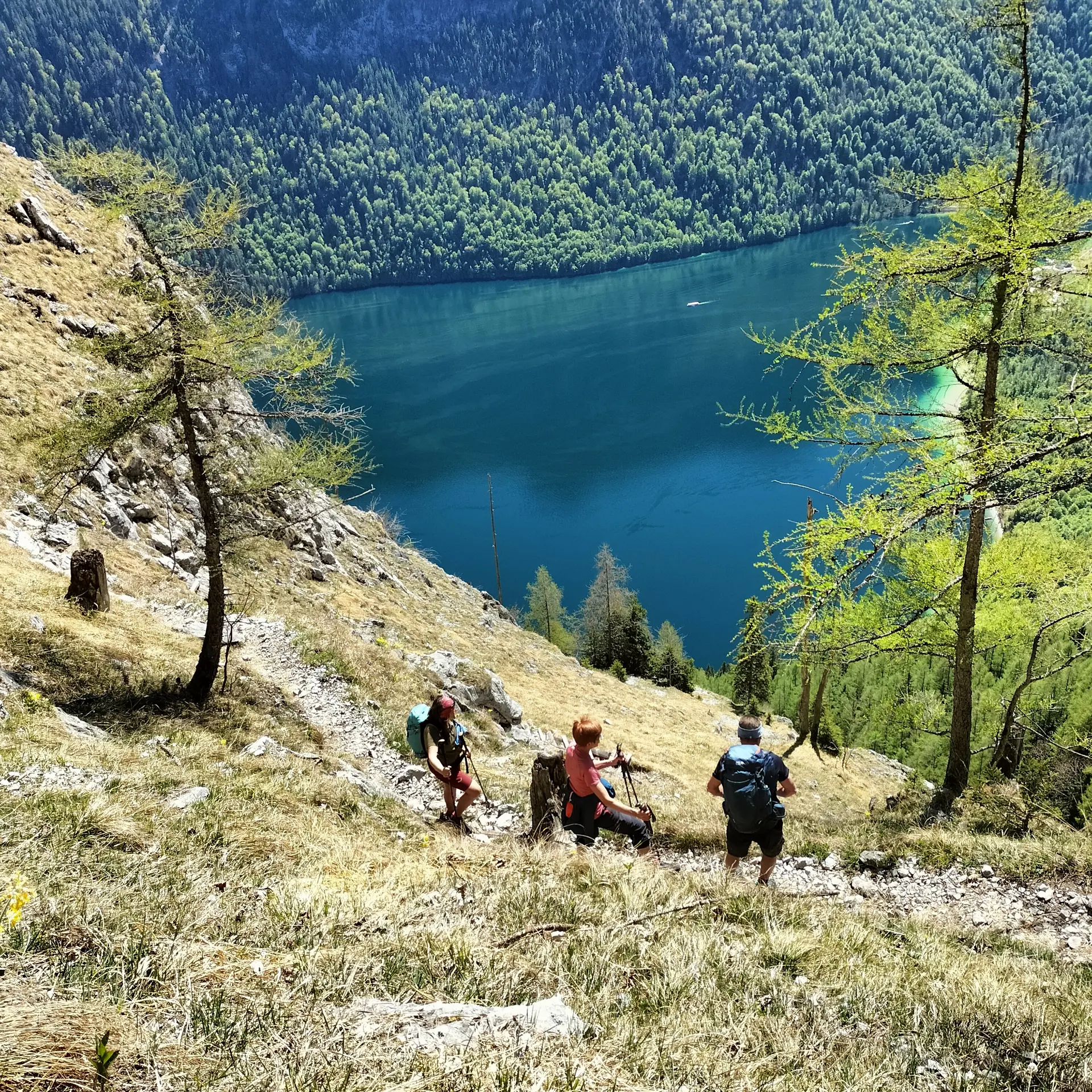 Rinnkendlsteig  | © DAV Laufen
