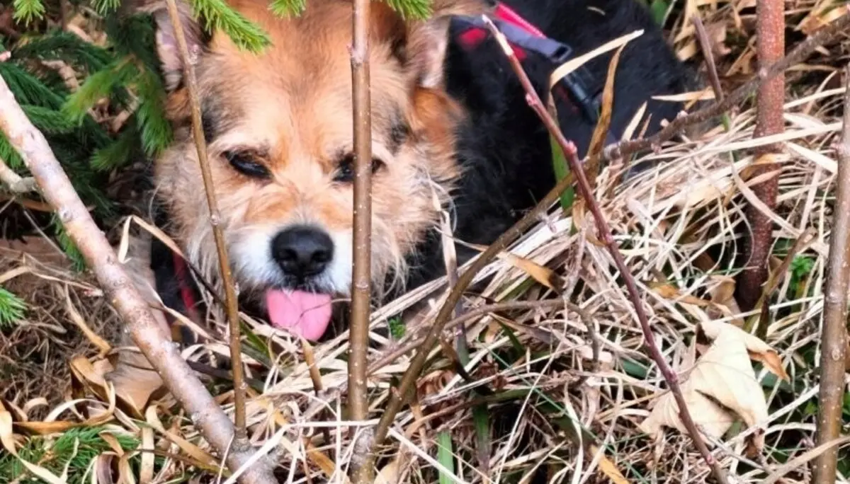 Seniorentour 11.3.26 Lidaun | © DAV Laufen