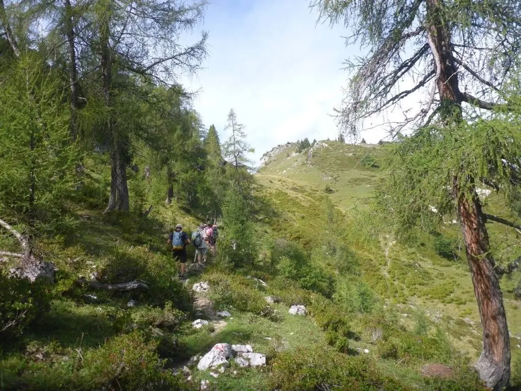 Wallerberg | © DAV Laufen