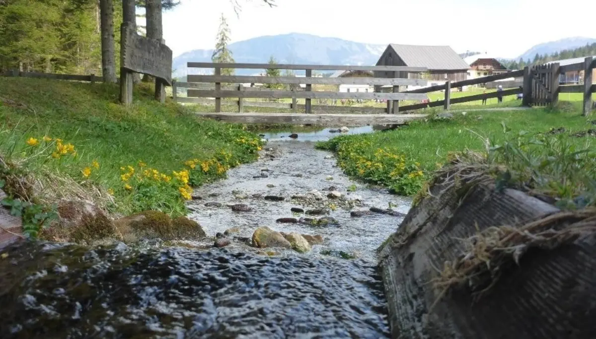 Wasserwelten_Abtenau | © DAV Laufen