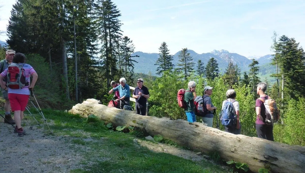 Zinnkopf | © DAV Laufen