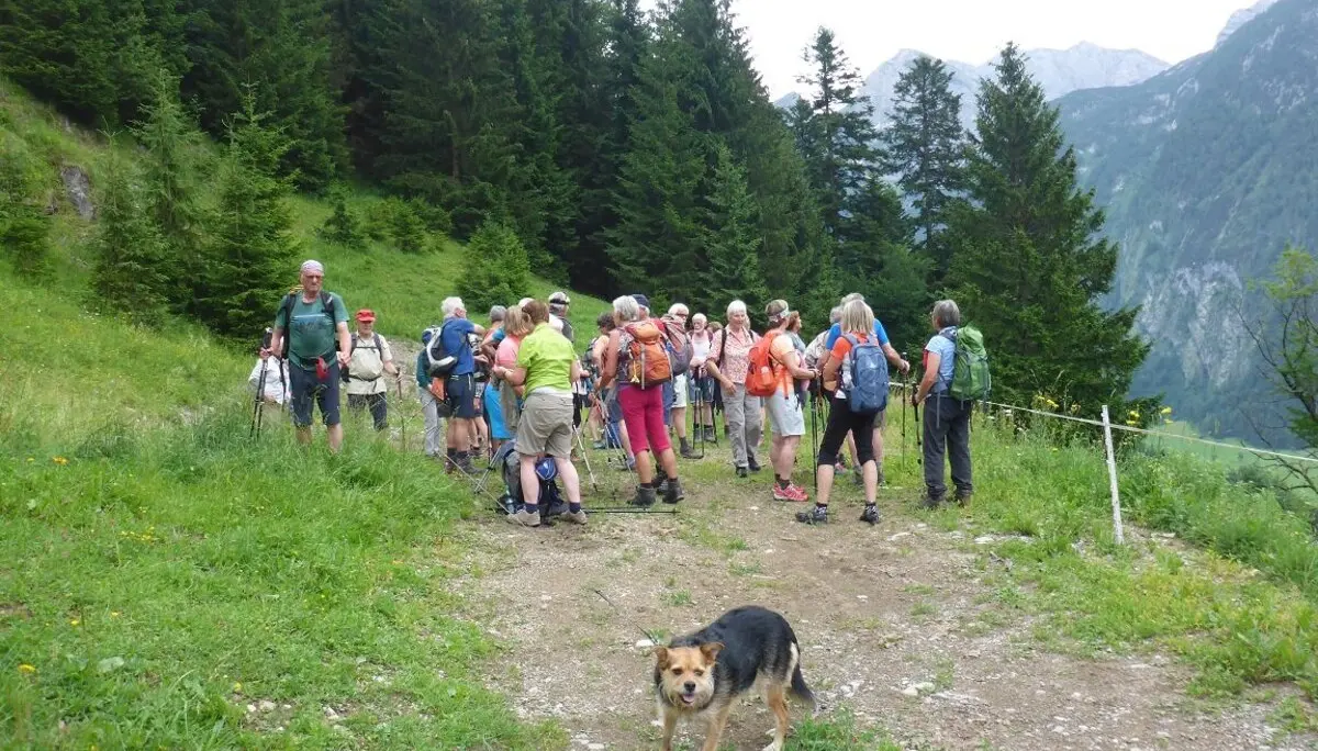 Almgangal auf die Rocheralm | © DAV Laufen
