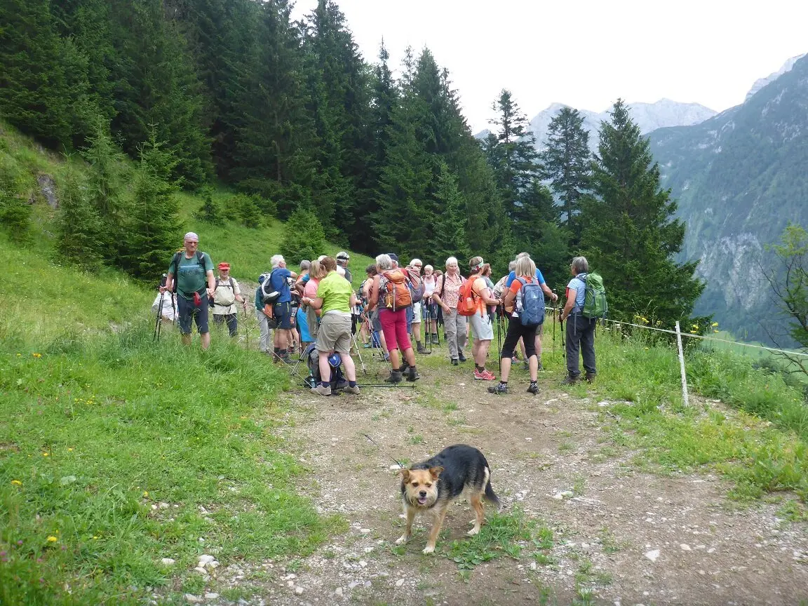 Almgangal auf die Rocheralm | © DAV Laufen