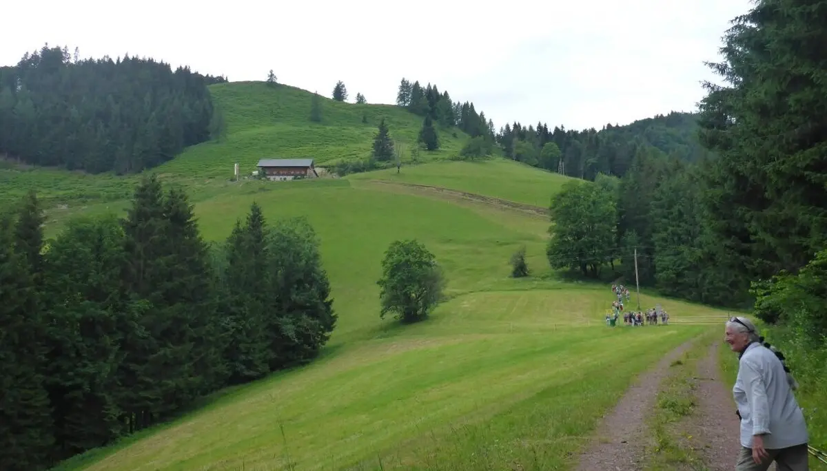 Almgangal auf die Rocheralm | © DAV Laufen