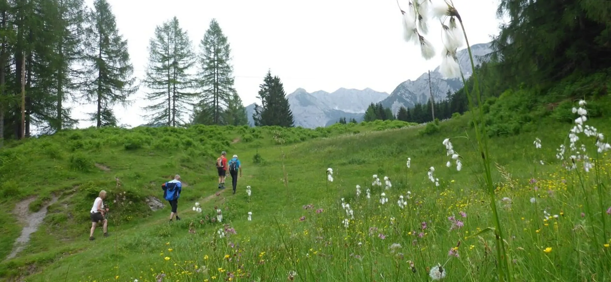 Almgangal auf die Rocheralm | © DAV Laufen