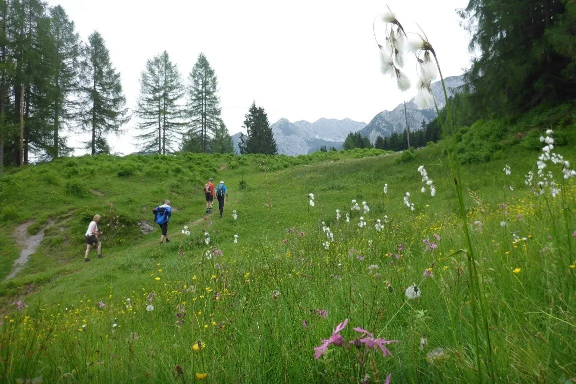 Almgangal auf die Rocheralm | © DAV Laufen