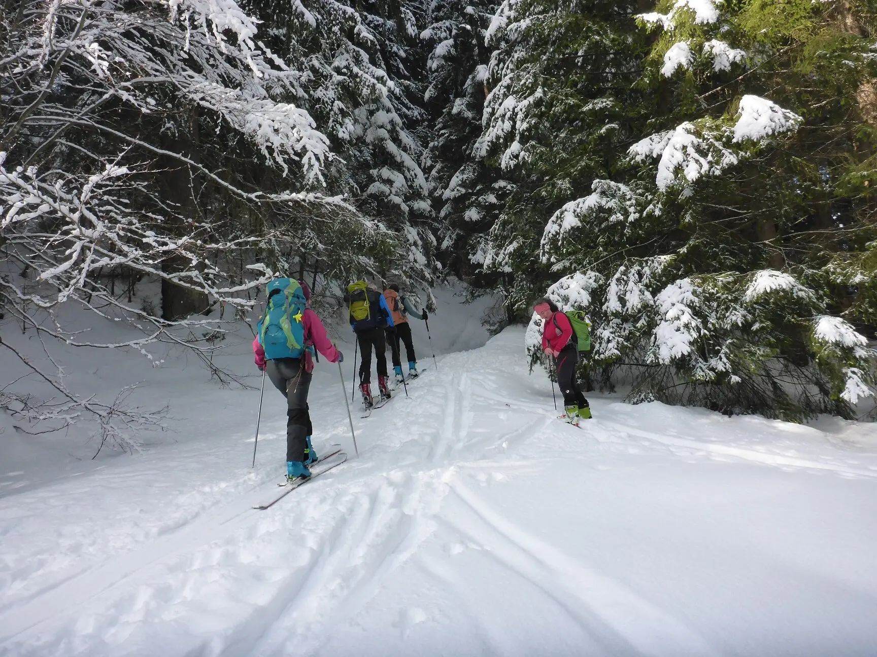 Rossfeld | © DAV Laufen