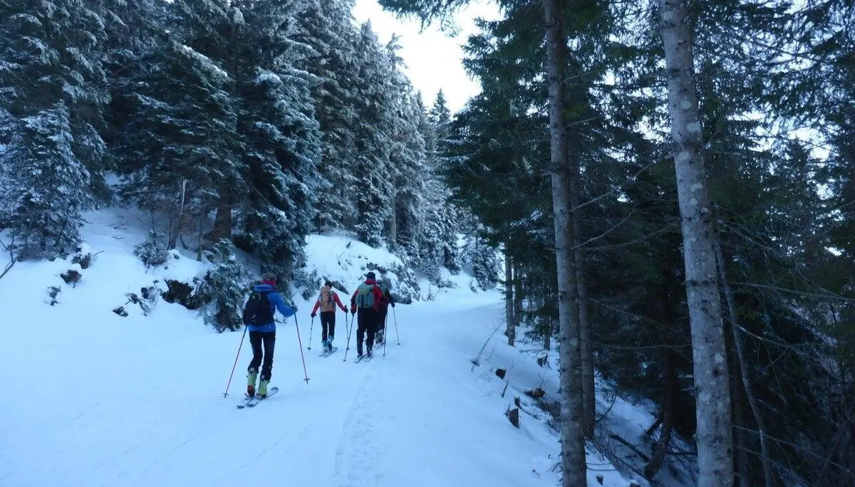 Seniorenskitour auf den Trattberg | © DAV Laufen