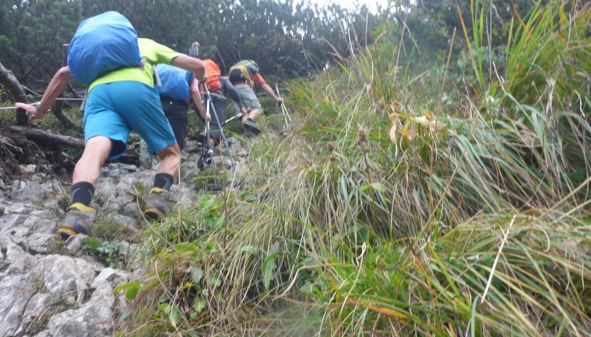 Seniorentour zum Schmittenstein und Schlenken | © DAV Laufen