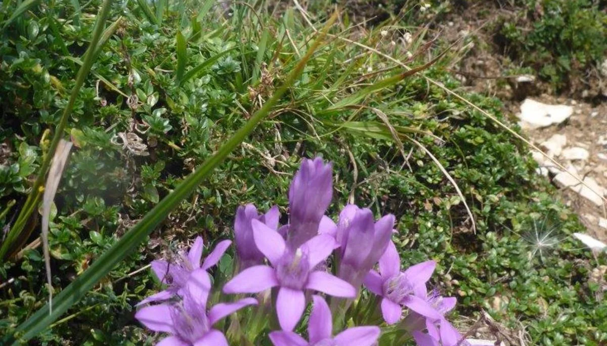 Seniorentour zum Schmittenstein und Schlenken | © DAV Laufen