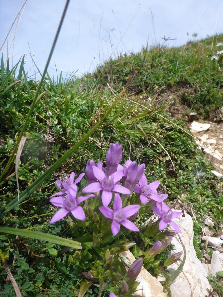 Seniorentour zum Schmittenstein und Schlenken | © DAV Laufen