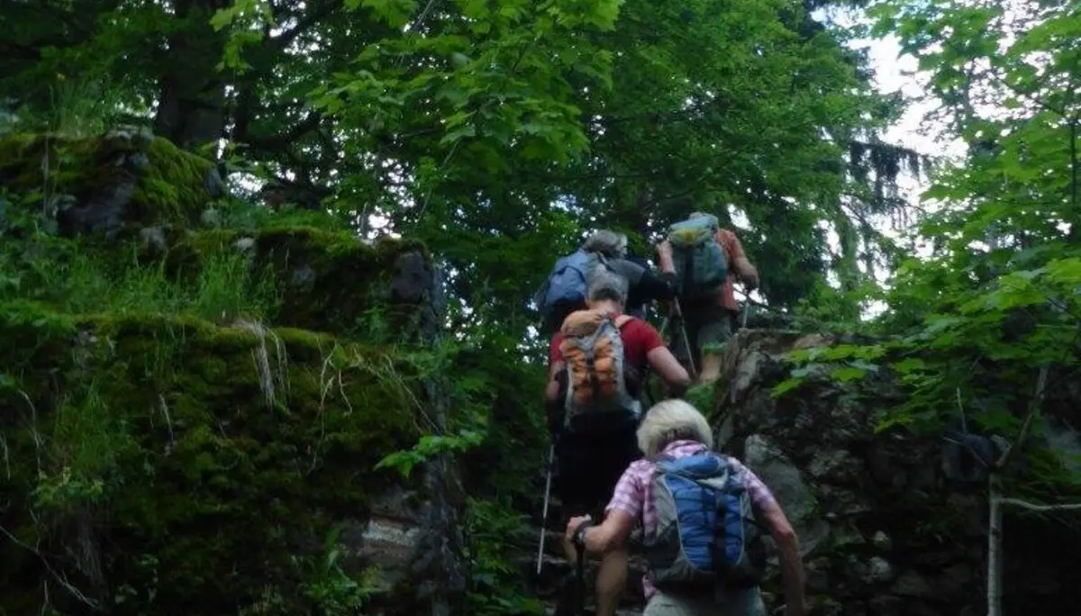 Tour der Senioren zu Schober und Frauenkopf | © DAV Laufen