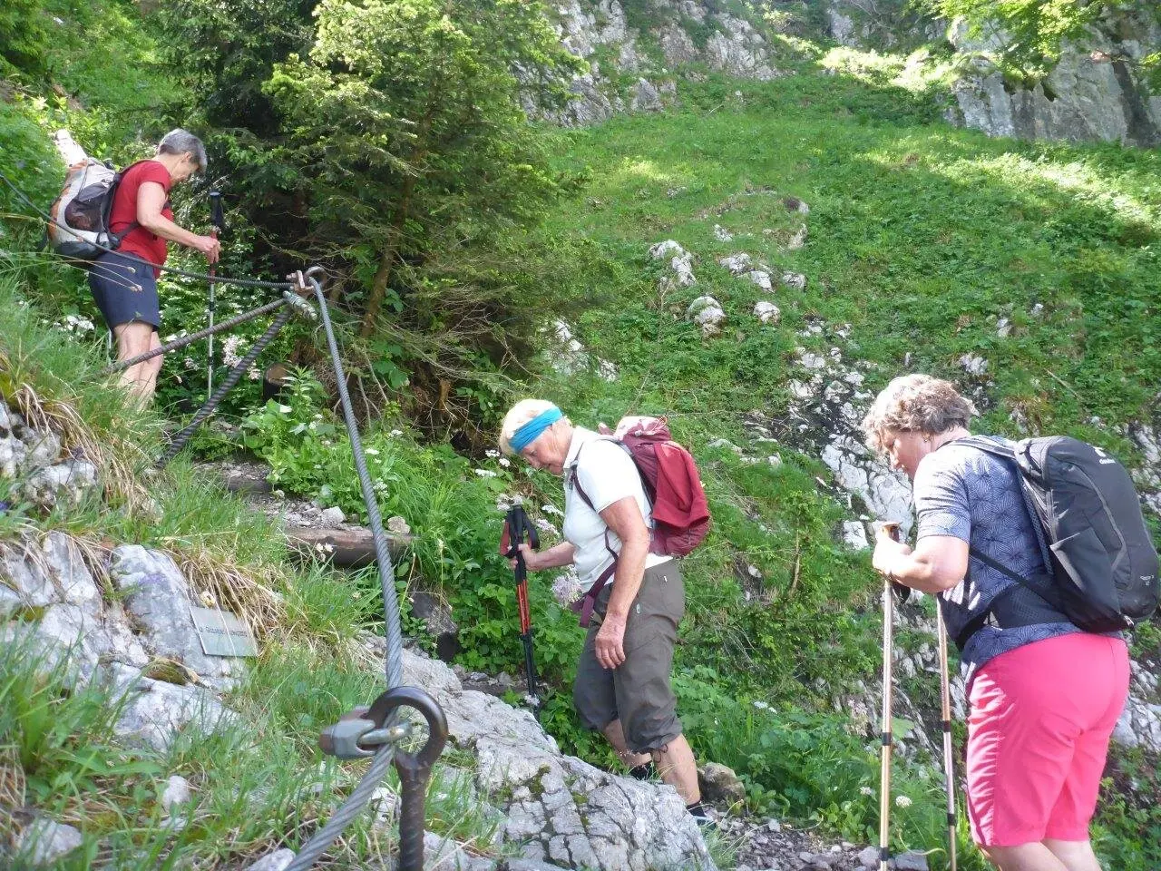 Tour der Senioren zu Schober und Frauenkopf | © DAV Laufen