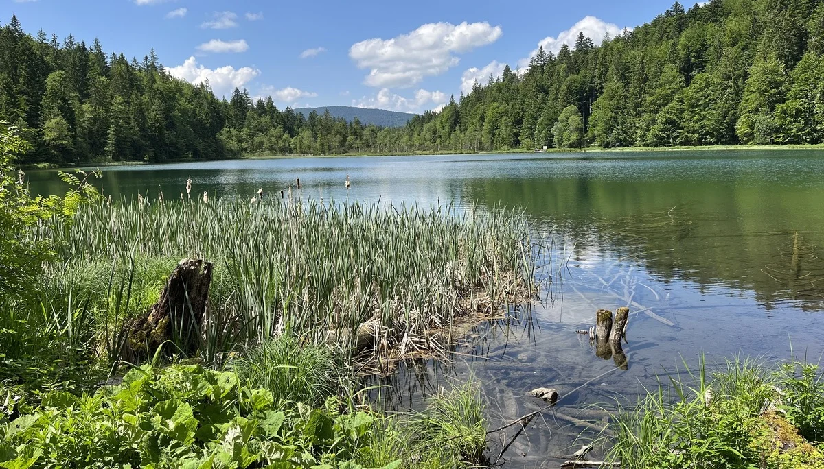 Besuch beim Nachbarn – Staufenhaus | © DAV Laufen