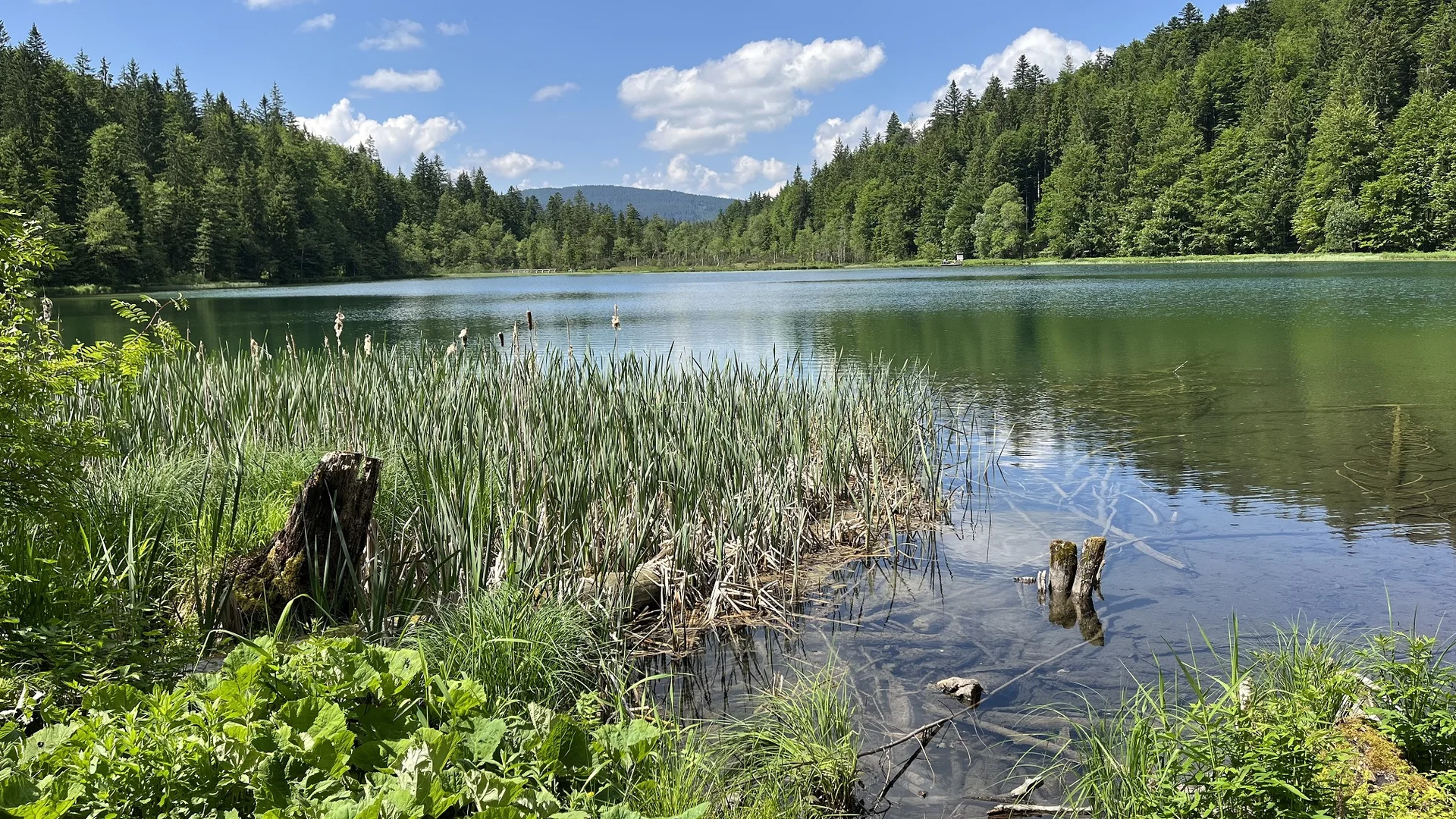 Besuch beim Nachbarn – Staufenhaus | © DAV Laufen