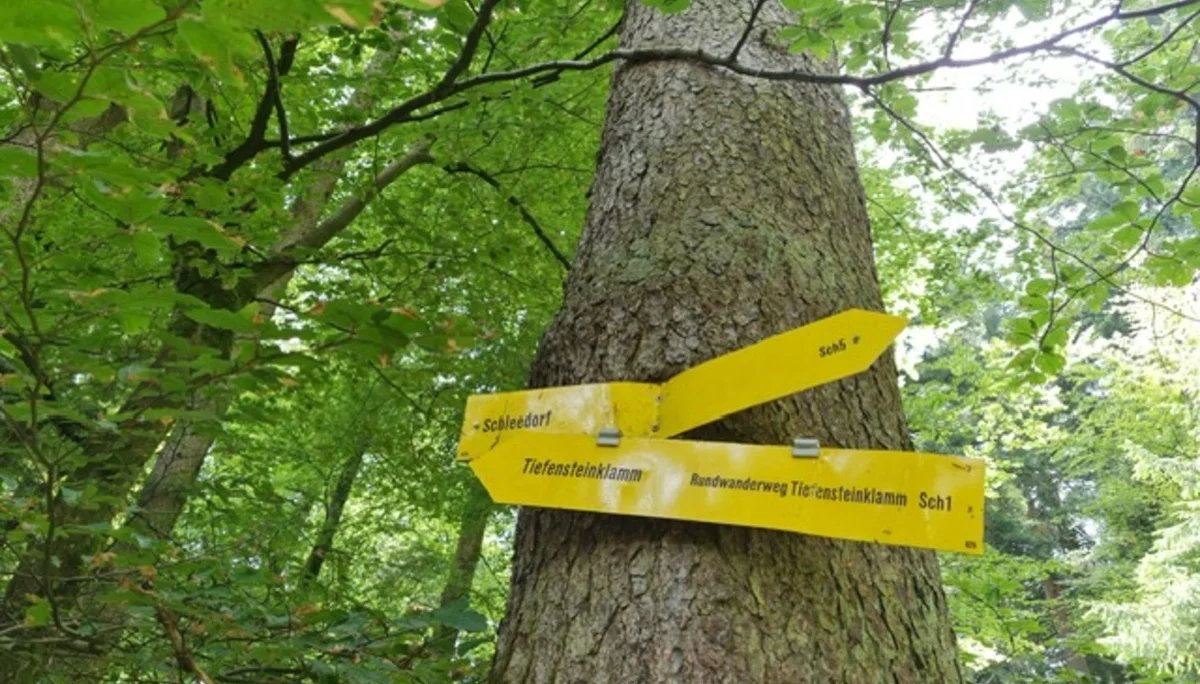 E-Bike Genusstour | © DAV Laufen