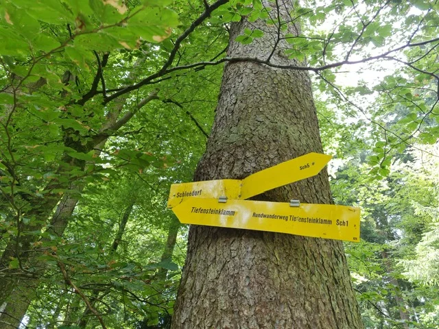 E-Bike Genusstour | © DAV Laufen