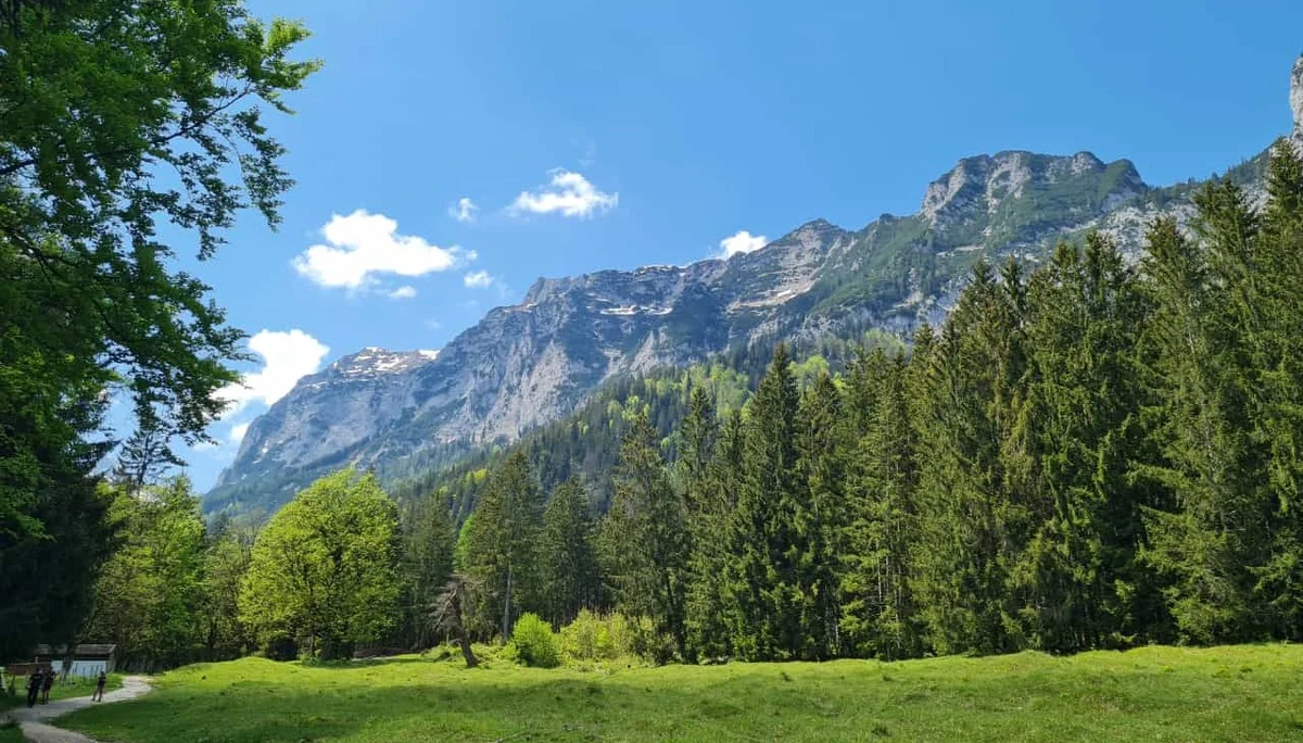 Edelweißlahnerkopf | © DAV Laufen