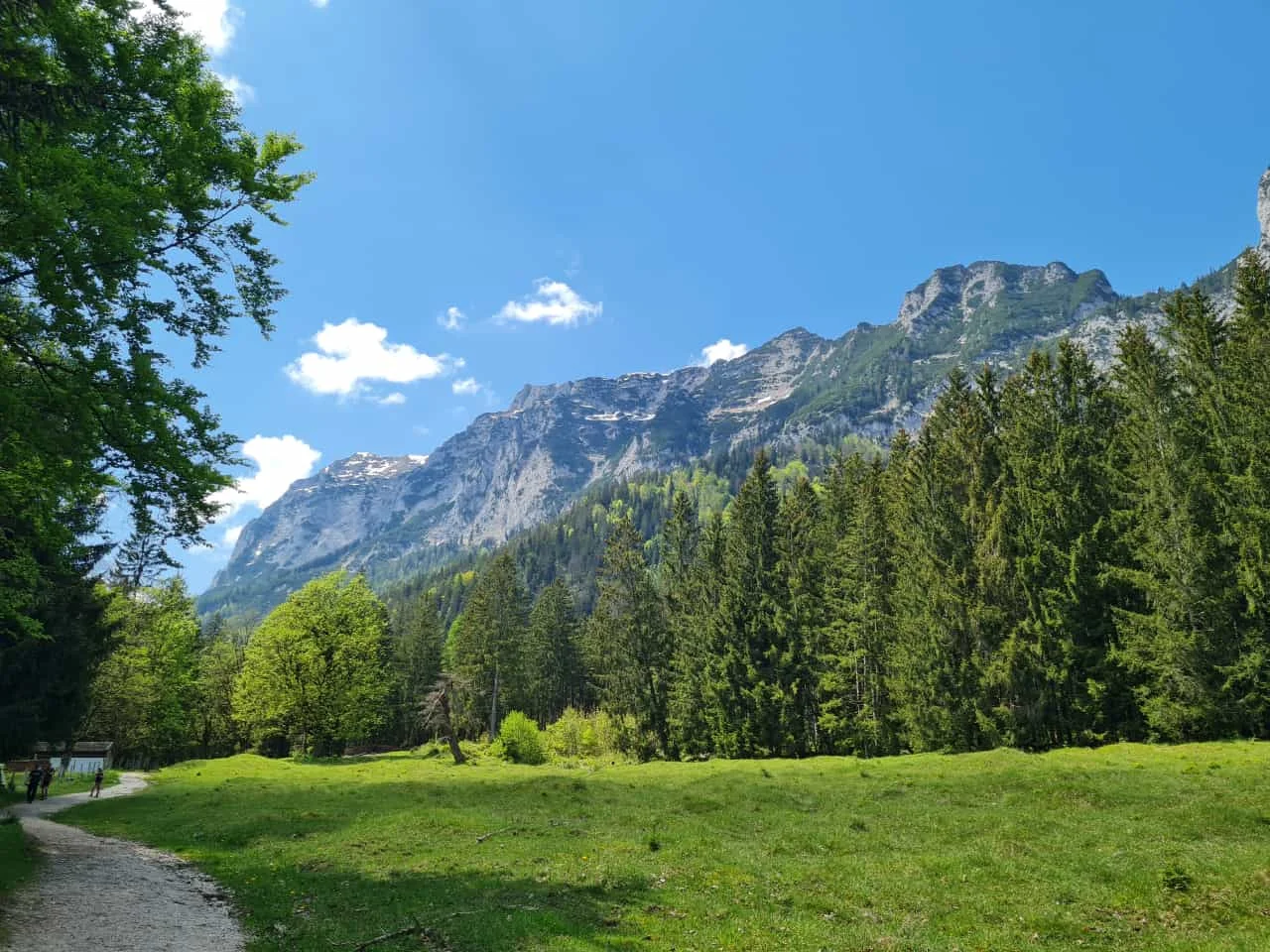 Edelweißlahnerkopf | © DAV Laufen