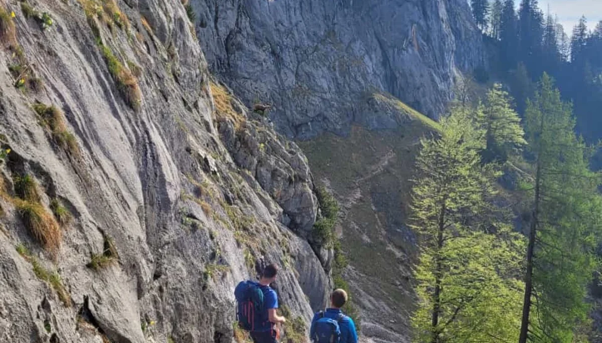 Edelweißlahnerkopf | © DAV Laufen