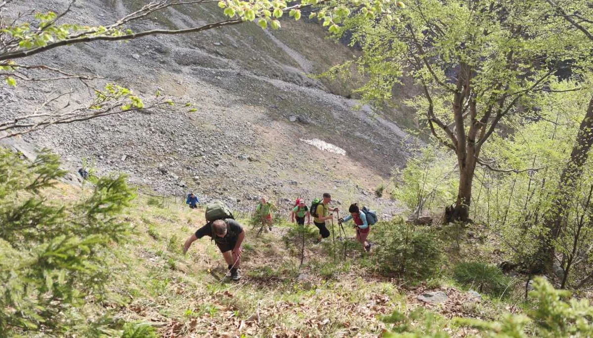 Edelweißlahnerkopf | © DAV Laufen