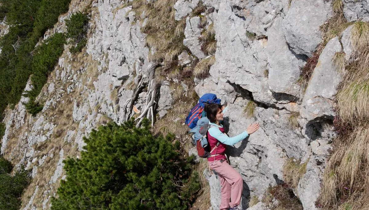 Edelweißlahnerkopf | © DAV Laufen
