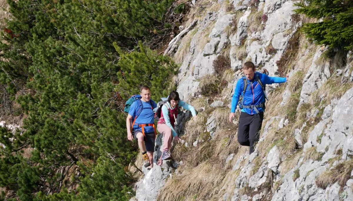 Edelweißlahnerkopf | © DAV Laufen