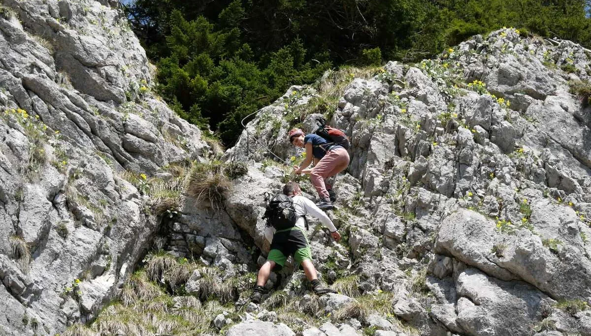 Edelweißlahnerkopf | © DAV Laufen