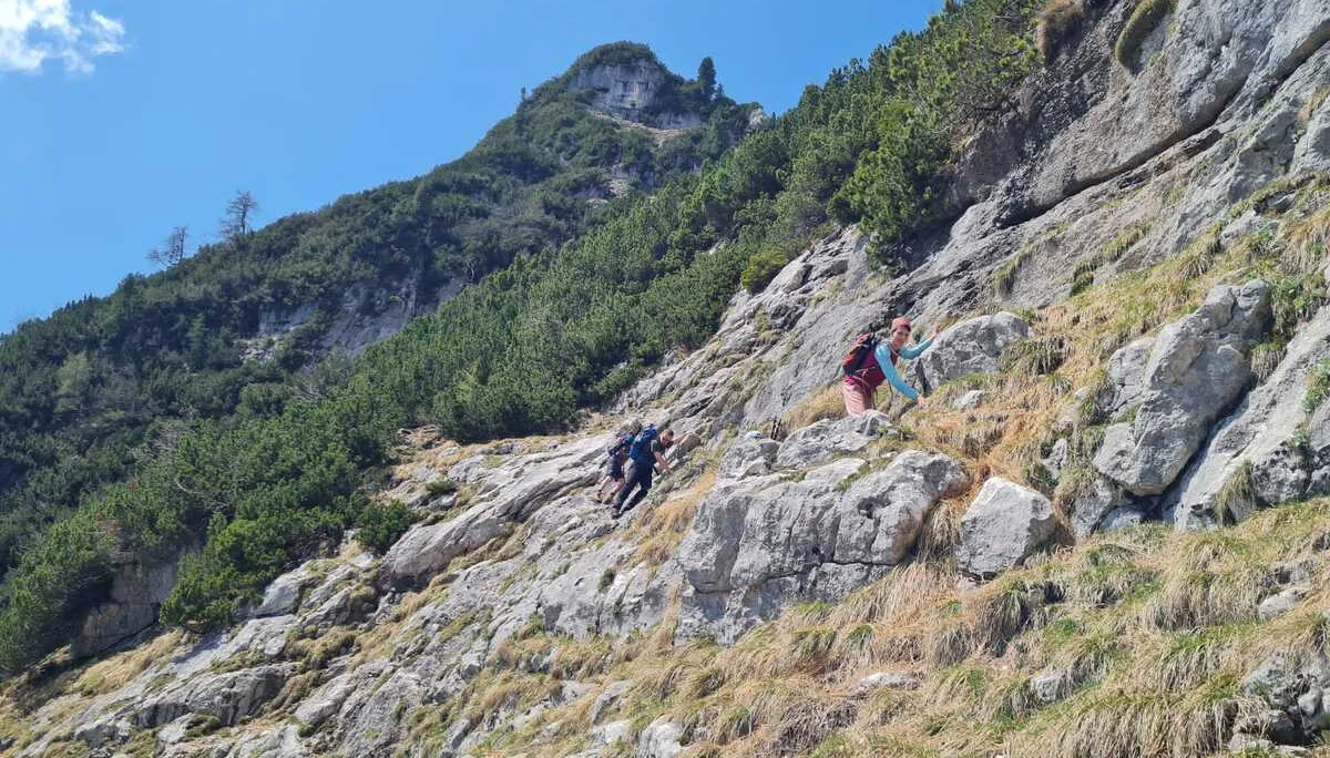 Edelweißlahnerkopf | © DAV Laufen