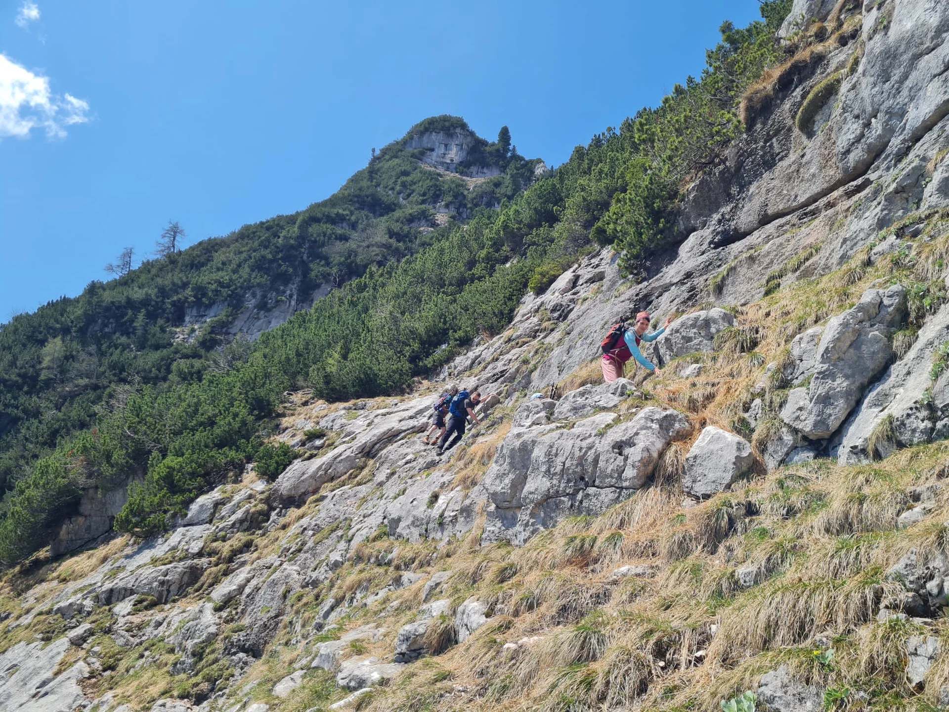 Edelweißlahnerkopf | © DAV Laufen
