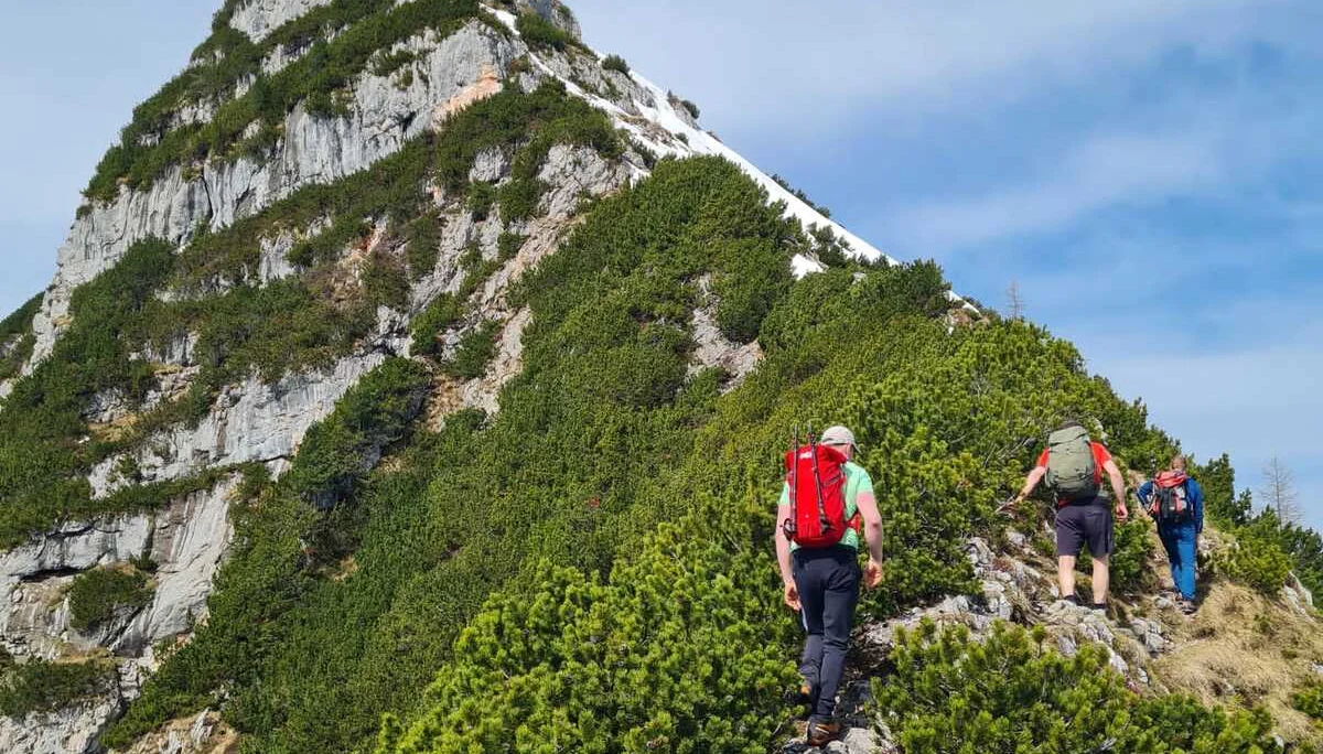 Edelweißlahnerkopf | © DAV Laufen