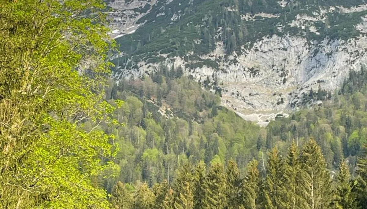 Edelweißlahnerkopf | © DAV Laufen