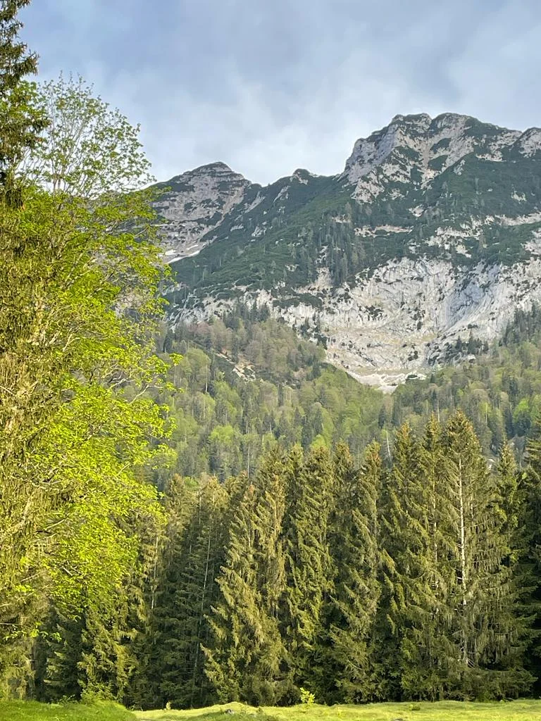 Edelweißlahnerkopf | © DAV Laufen