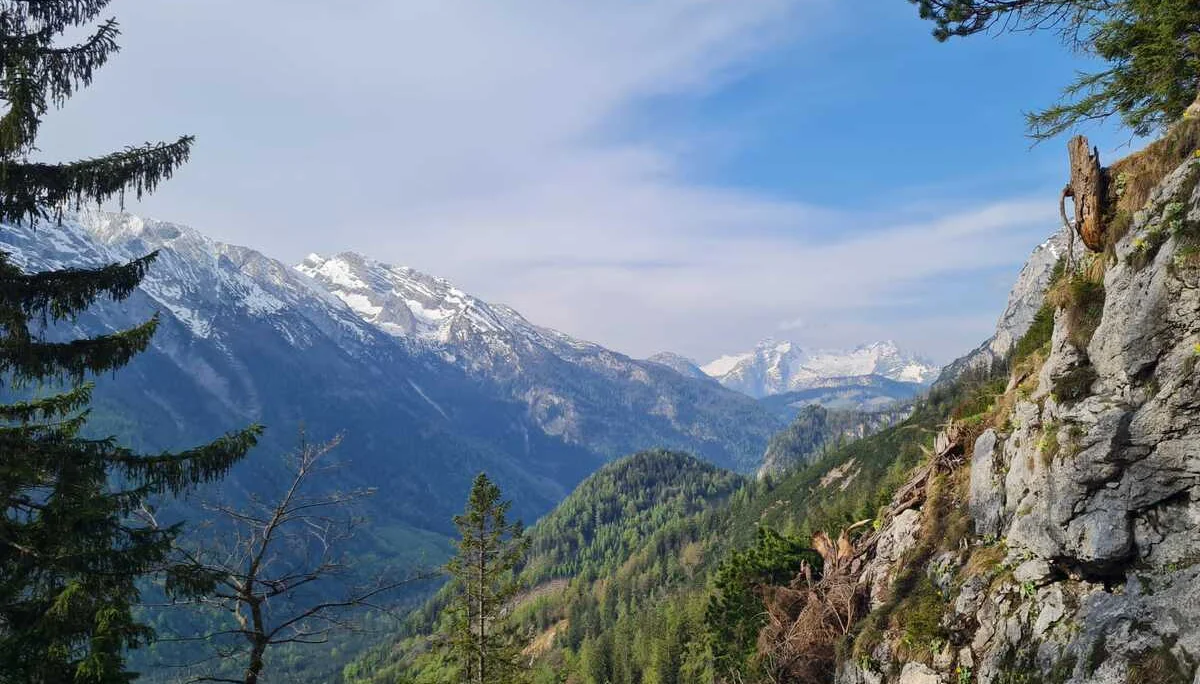 Edelweißlahnerkopf | © DAV Laufen