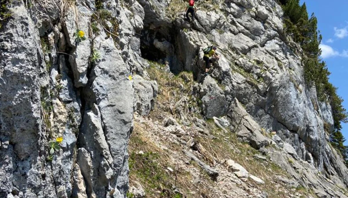 Edelweißlahnerkopf | © DAV Laufen