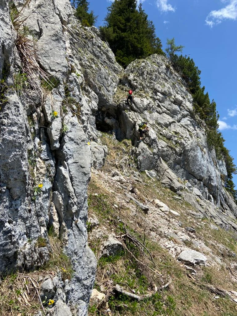 Edelweißlahnerkopf | © DAV Laufen