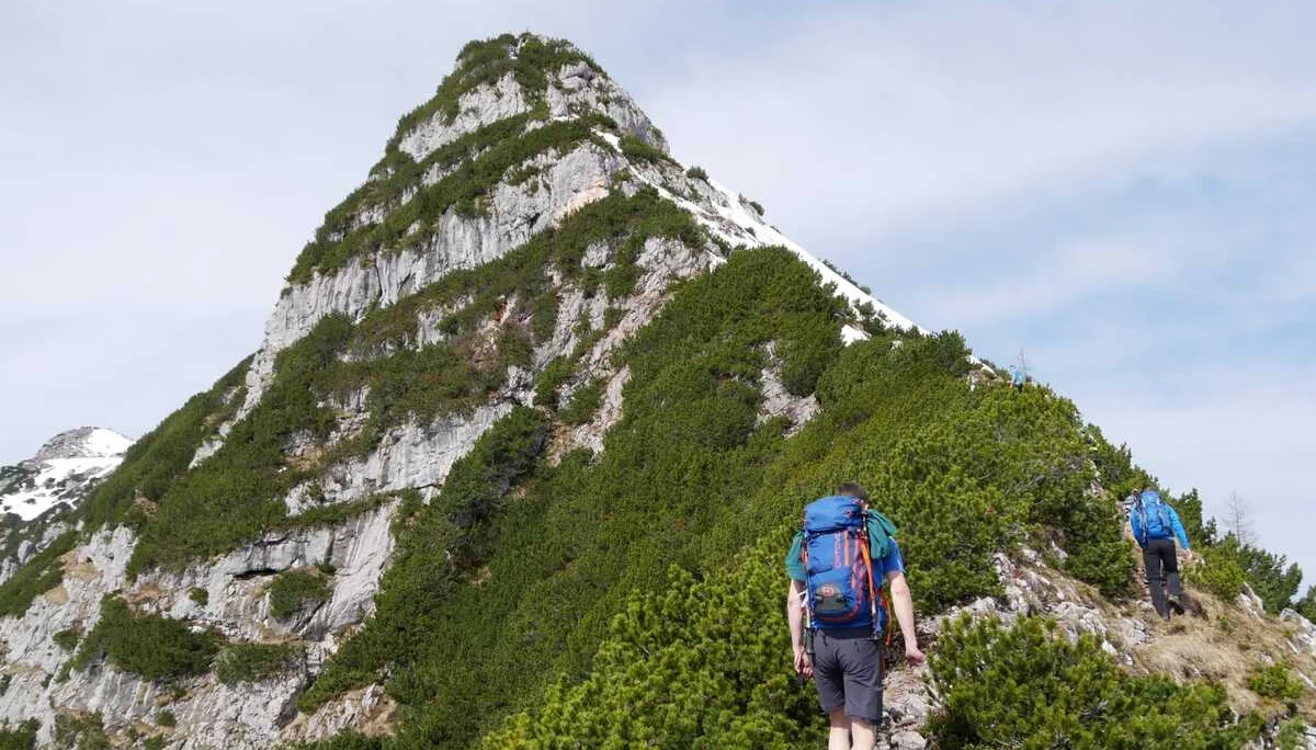 Edelweißlahnerkopf | © DAV Laufen