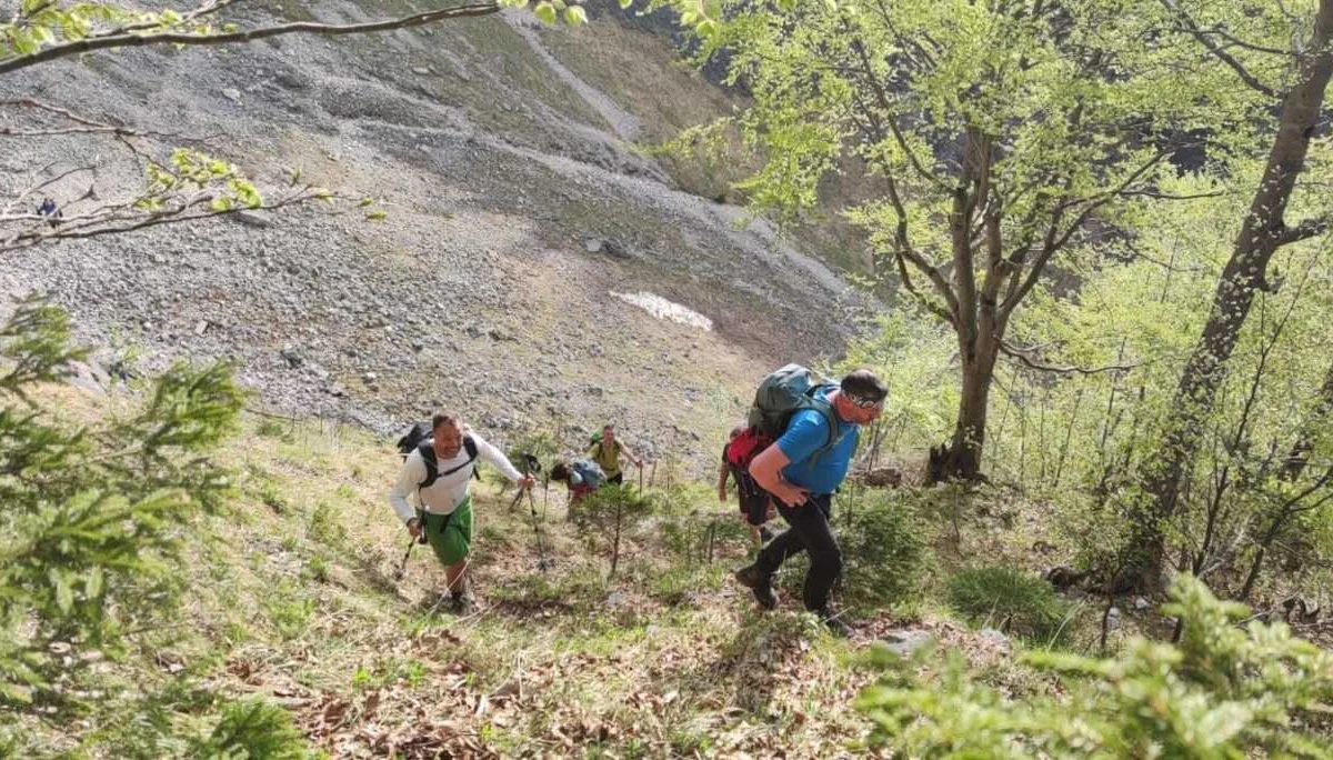 Edelweißlahnerkopf | © DAV Laufen